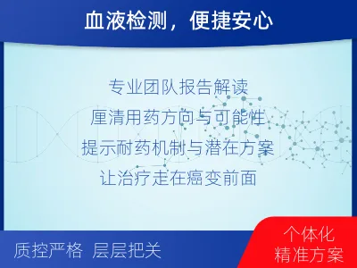 荣成-肿瘤全面用药600综合检测-检测流程