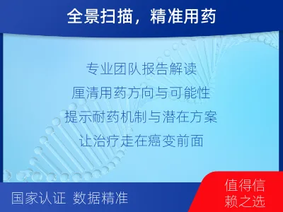 荣成-肿瘤全面用药600综合检测-适用人群