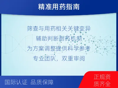 陵城-肿瘤全面用药600综合检测-检测介绍