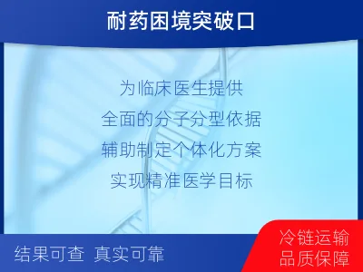 齐河-肿瘤全面用药600综合检测-检测介绍
