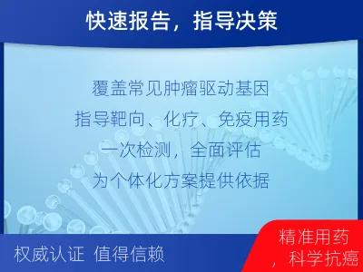 商丘-肿瘤全面用药600综合检测-检测流程