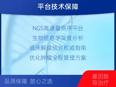 郧西-肿瘤全面用药600综合检测-检测介绍