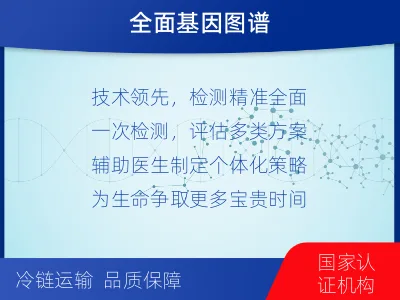 房-肿瘤全面用药600综合检测-检测流程