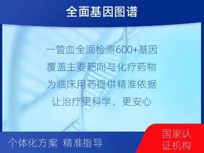 黄州-肿瘤全面用药600综合检测-适用人群