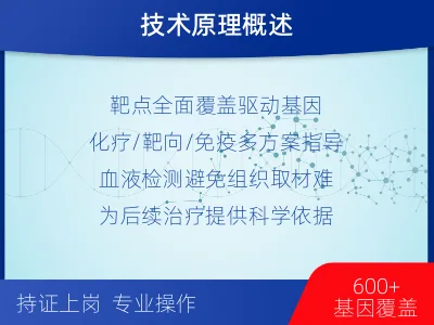 团风-肿瘤全面用药600综合检测-适用人群