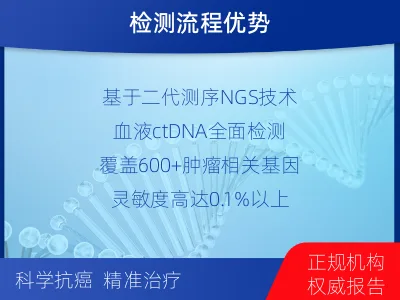 衡南-肿瘤全面用药600综合检测-检测流程