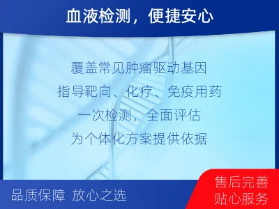 新宁-肿瘤全面用药600综合检测-检测介绍