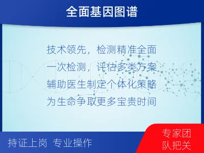 君山-肿瘤全面用药600综合检测-检测流程