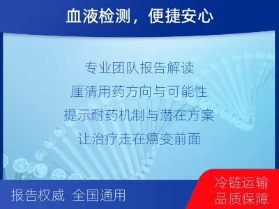 湘阴-肿瘤全面用药600综合检测-检测流程