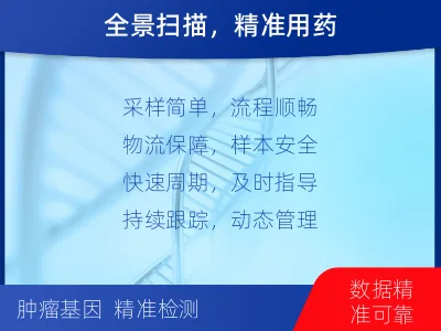 武陵-肿瘤全面用药600综合检测-检测流程