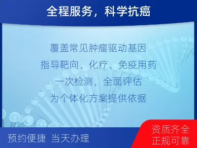桃源-肿瘤全面用药600综合检测-检测流程