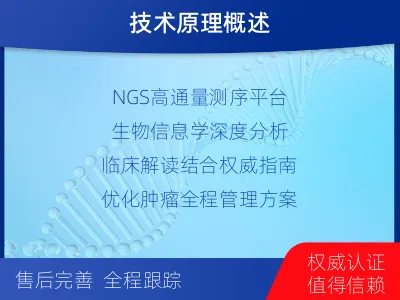 嘉禾-肿瘤全面用药600综合检测-报告解读