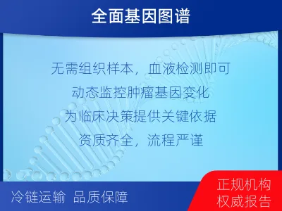 汝城-肿瘤全面用药600综合检测-检测流程