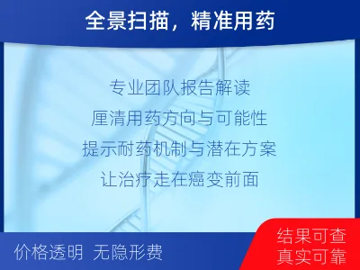 容-肿瘤全面用药600综合检测-报告解读