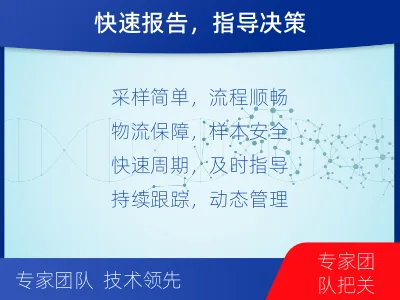 容-肿瘤全面用药600综合检测-检测流程