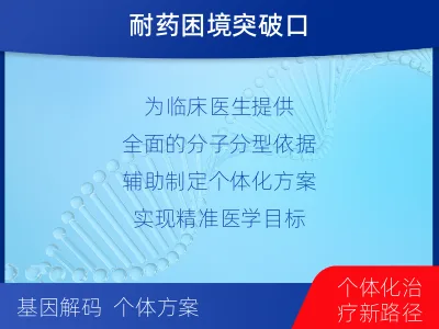 沙湾-肿瘤全面用药600综合检测-检测流程