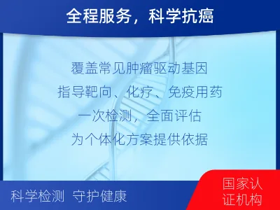 夹江-肿瘤全面用药600综合检测-适用人群