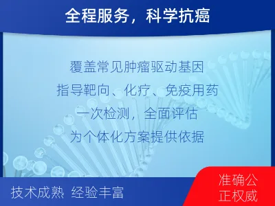 九寨沟-肿瘤全面用药600综合检测-检测流程