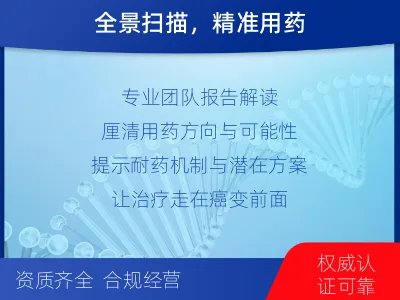 石渠-肿瘤全面用药600综合检测-检测流程
