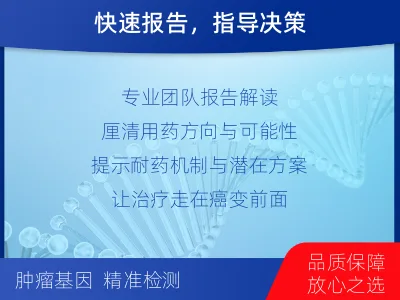 西昌-肿瘤全面用药600综合检测-检测流程