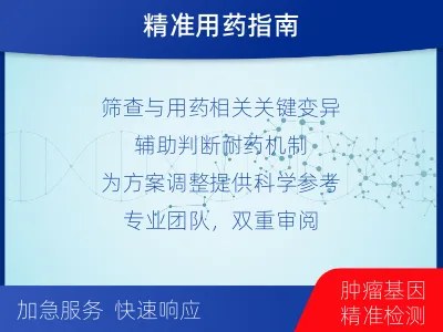 镇宁-肿瘤全面用药600综合检测-检测介绍