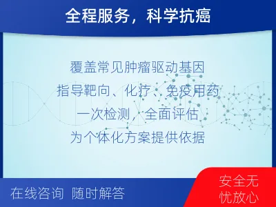 沿河-肿瘤全面用药600综合检测-检测介绍