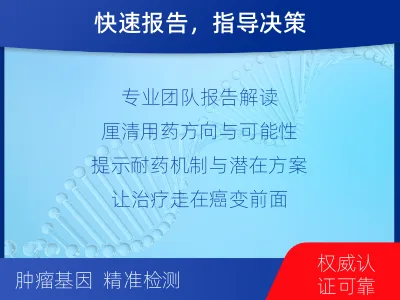 五华-肿瘤全面用药600综合检测-检测介绍