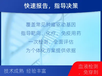 永善-肿瘤全面用药600综合检测-检测流程