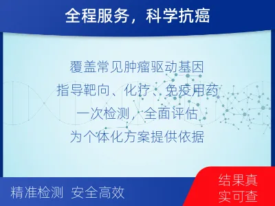 加查-肿瘤全面用药600综合检测-检测流程