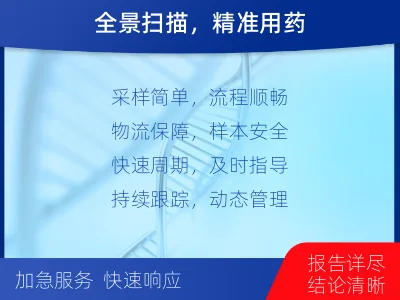 加查-肿瘤全面用药600综合检测-适用人群