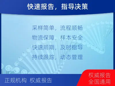 浪卡子-肿瘤全面用药600综合检测-检测流程