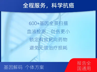 岐山-肿瘤全面用药600综合检测-检测流程