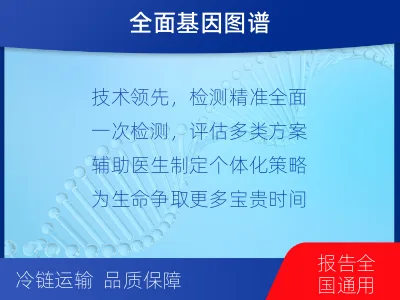 安康-肿瘤全面用药600综合检测-报告解读