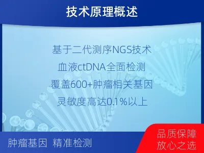 紫阳-肿瘤全面用药600综合检测-适用人群