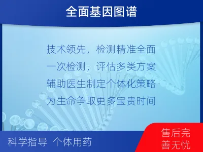 平川-肿瘤全面用药600综合检测-检测介绍