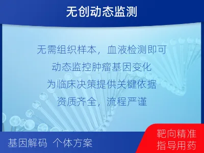 张家川-肿瘤全面用药600综合检测-检测流程