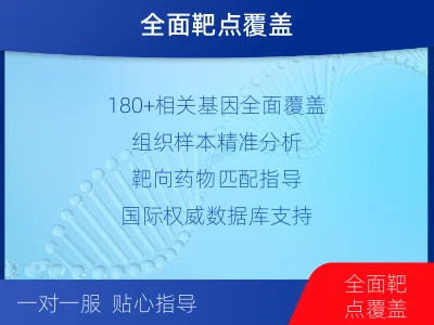 城口-肿瘤180综合检测-检测流程
