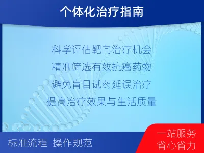 平江-肿瘤靶向基因检测-检测流程