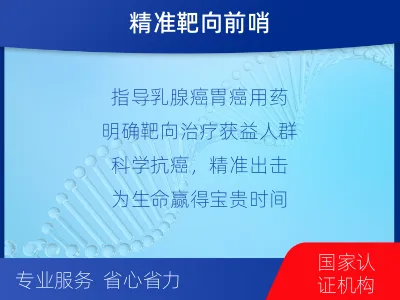 盘龙-HER2检测-检测介绍