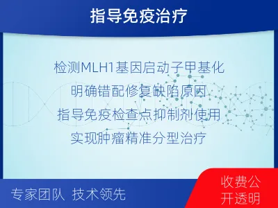 小店-MLH基因甲基化检测-检测流程