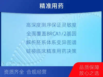 淄川-BRCA12的胚系-体系共检-检测流程