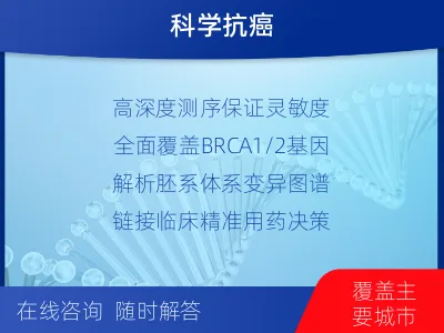 淄川-BRCA12的胚系-体系共检-适用人群