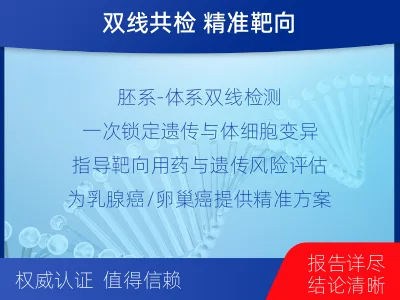 管城-BRCA12的胚系-体系共检-报告解读