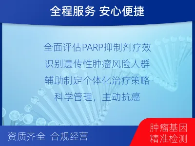 管城-BRCA12的胚系-体系共检-检测介绍