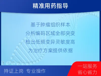 黎城-肿瘤全外显子测序-检测介绍