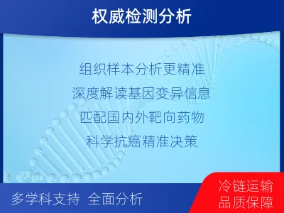 海林-肿瘤全外显子测序-报告解读