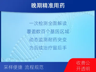 龙文-肿瘤全外显子测序-检测流程