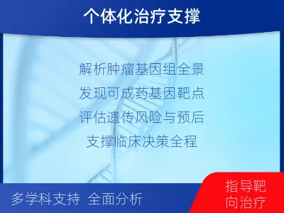 鹿邑-肿瘤全外显子测序-报告解读