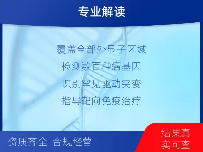 防城港-肿瘤全外显子测序-检测流程
