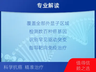 红原-肿瘤全外显子测序-报告解读